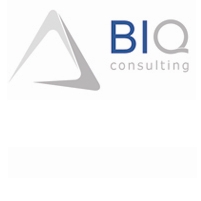 BIQ Consulting